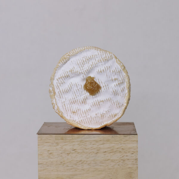 Camembert aux marrons glacés