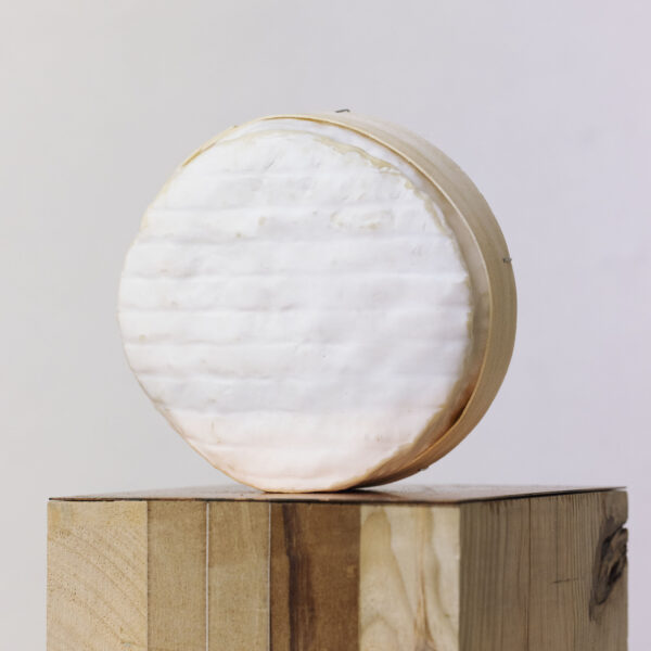 Brillat Noisette et Praliné